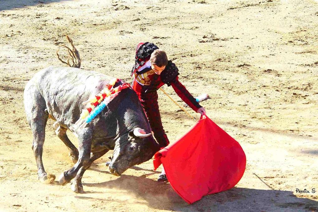 Céret de toros, 30ème anniversaire (épisode 4)