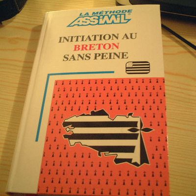 le blog du breton sans peine