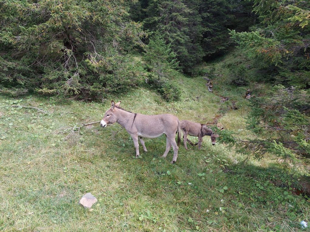 Cycling4fun - Les Dolomites (Italia)