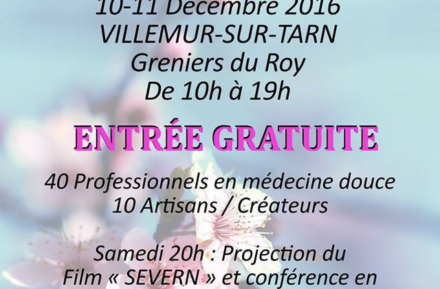 VILLEMUR SUR TARN - SALON DU BIEN ETRE