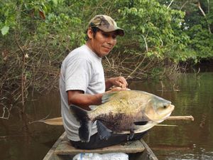 Quatre jours inoubliables en Amazonie