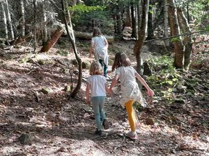 La forêt des expériences, jolie balade sensorielle et poétique