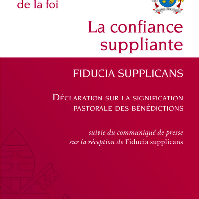 100 jours de Fiducia Supplicans : le règne de la confusion dans l'Église "synodale"