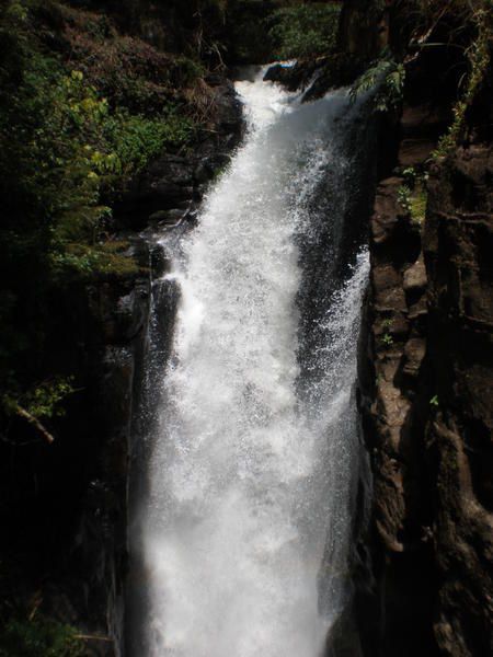 Dans la lumière d'une resplendissante journée d'été, les chutes d'Iguazu du côté argentin : des centaines de points de vue, dans un crescendo de beauté qui atteint son apogée à la "Garganta del Diablo" ("Gorge du Diable"), où arc-en-ciel et