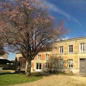 Chambres d'hôtes Demeure du Chapitre, chambres et suite Louzac Saint-Andre, vignoble de Cognac