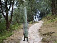 Tout au long de chemin, la vie se déroule sans heurt et l'on croise la douceur en permanence, le temps lui même n'est pas angoissé de courir, il flâne et donne aux habitants des montagnes le pouvoir d'oublier la souffrance physique, le poids des travaux et les kilomètres avalés...c'est peut être ça le secret du bonheur, vivre à son rythme, effleurer le temps, le prendre dans une main pour le lâcher de l'autre...un regard sur le DOKO, le panier en osier cher au Népal, que l'on retrouve partout, solide, fier et indestructible, comme le merveilleux peuple népalais.