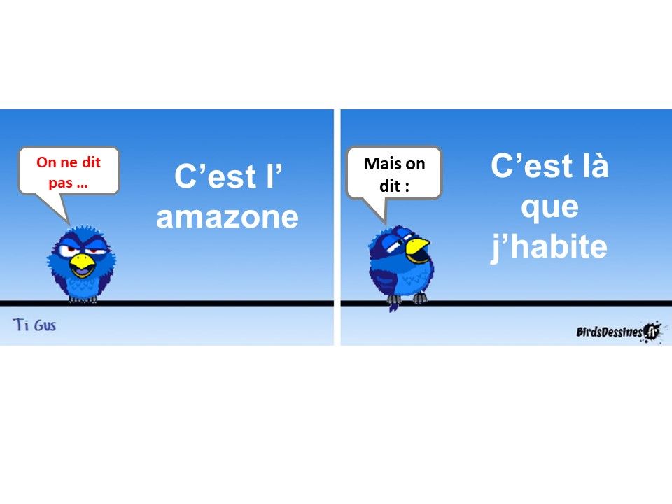 Divers - Cours de Français - 1