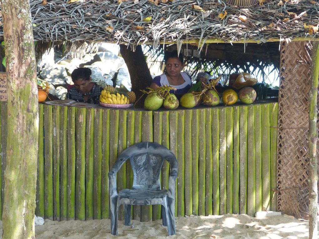 Voyage en Tuk-Tuk