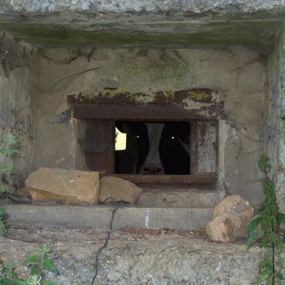 La casemate STG Euilly-nord .