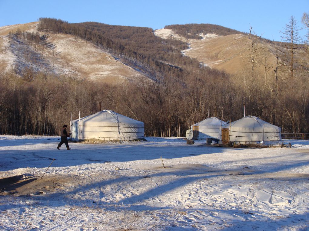 Découverte de la Mongolie en hiver - janvier 2014