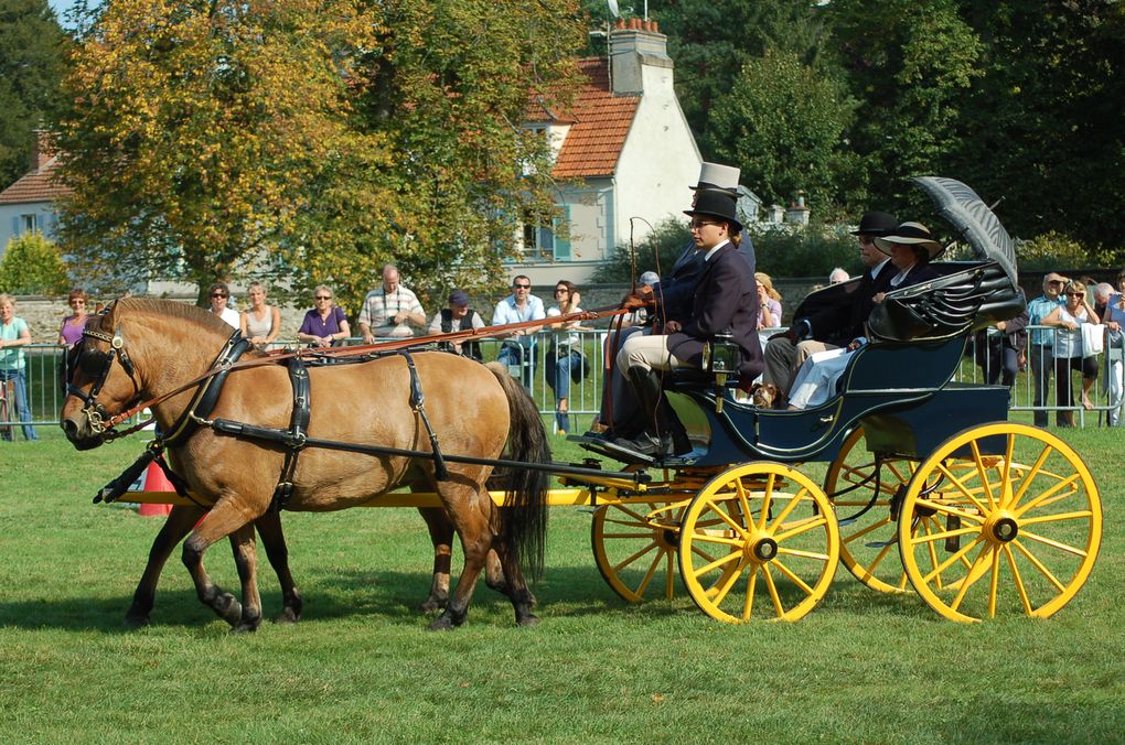 Album - ATTELAGES-RAMBOUILLET