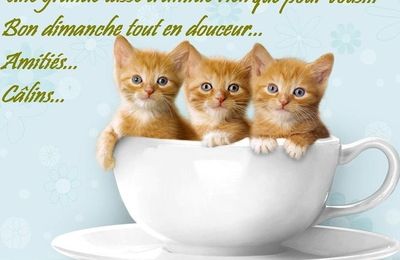 Bon Dimanche Reposez Vous Bien Le Blog De Maryevcreations