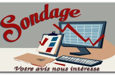 Donnez votre avis sur notre BLOG (sondage)