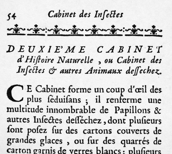 cabinet de curiosités d'Aristide Sauveterre: naturalia, exotica, artificialia. Objets originaux et précieux ou faux notoires.