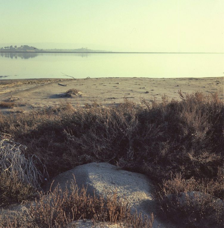 Dans les années 2000, de gros travaux de protection contre l'érosion du littoral ont été entrepris. Le bord de l'étang est aujourd'hui bordé par une dune, les tamaris, et toutes les plantes des sables y foisonnent, libèrent leur parfum.
