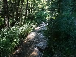 Nous longeons la Veyssière qui nous apporte un peu de fraîcheur, de même que l'air de l'altitude