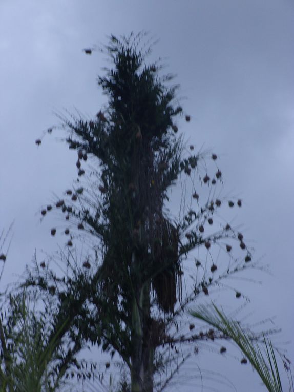 Et la palme des parcs est attribuée à