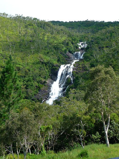 Paysages, forêts et arbres remarquables de Nouvelle-Calédonie