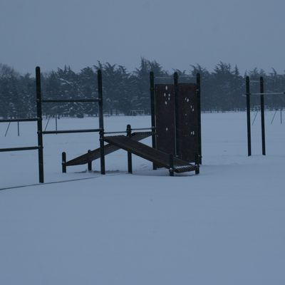 entraînement au Parc de parilly