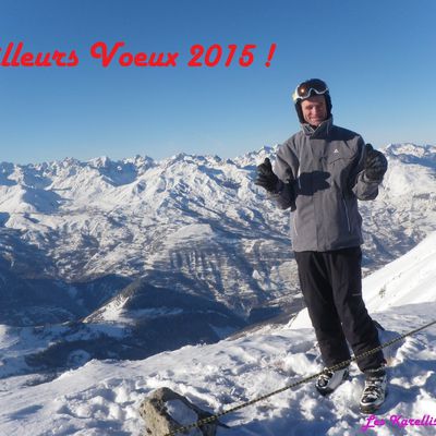 Meilleurs Vœux 2015 !