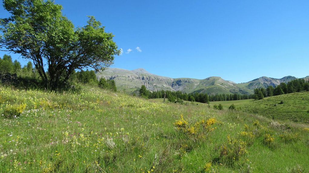 Tour de la Tête du Garnier