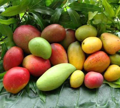  13 RAISONS POUR LESQUELLES VOUS DEVRIEZ MANGER UNE MANGUE CHAQUE JOUR ! 