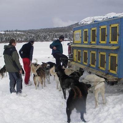 Expedition de 3 jours en chiens de traineaux