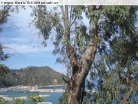 Vagues...Panorama  de Skikda (15/15)