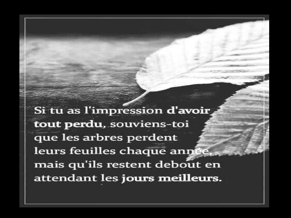 Divers - Citations et réflexions - 1