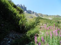 Depuis le GRP du Beaufortain, les aiguilles de la Pennaz, une gouille et une vue sur le Mont-Blanc.