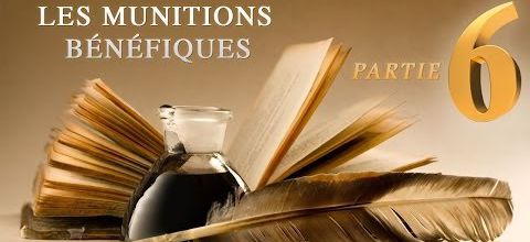 Les Munitions Bénéfiquesᴴᴰ (Pt.6)
