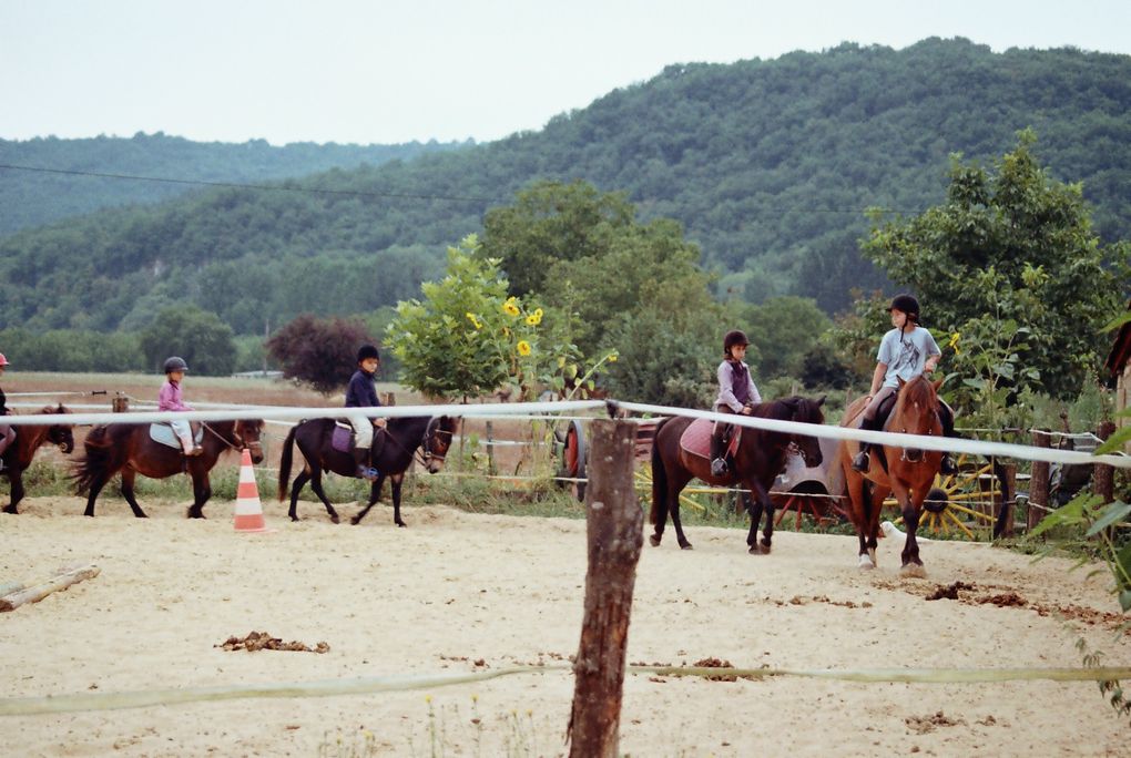 Les chevaux de LA SIMIOUNE (Près de BOLLENE dans le VAUCLUSE)