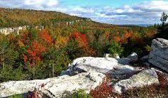 #Sherry Wine Producers New Jersey Vineyards