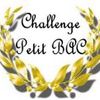 Nouveau Challenge: Petit Bac