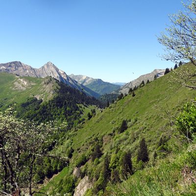 Tête Noire (1684m) et Pointe de Côte Masse (1727m) par Tamié.