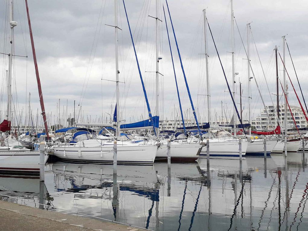 Carnet de voyage : La côte Languedocienne, Port Camargue