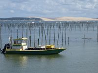 bassin d'arcachon 2