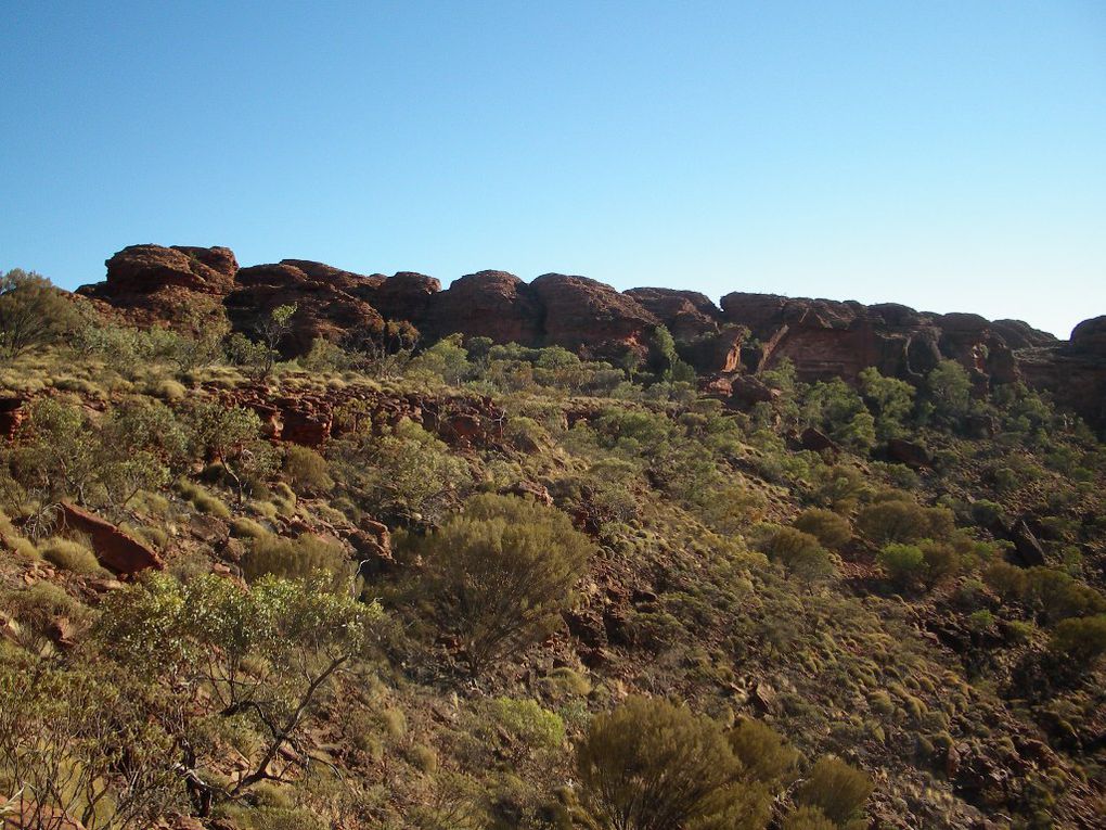 Album - The-Ultimate-Oz-Experience-2--Outback--The-Olgas---Ayers-Rock---Kings Canyon