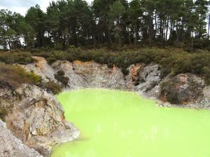 Waiotapu, Sources d'eau chaude colorées, &quot;Champagne Pool&quot;, &quot;Lady Knox Geyser&quot;, Nouvelle-Zélande