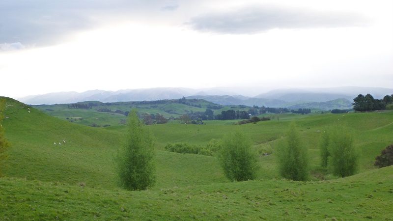 Album - Ile du nord - Fin Octobre (Nz)