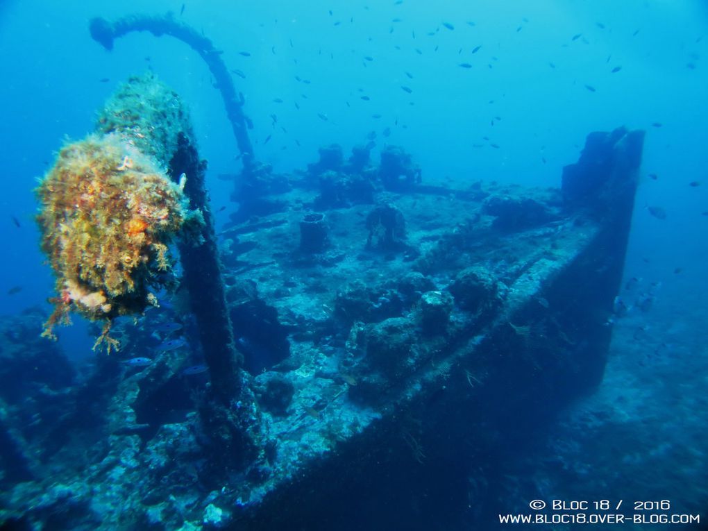 Wreck Diving : Le Liban, septembre 2016