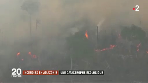 Emmanuel Macron sur les incendies en Amazonie : "Notre maison brûle. Littéralement. Le poumon de notre planète qui produit 20% de notre oxygène, est en feu. C’est une crise internationale."