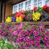 Avere un giardino in terrazza