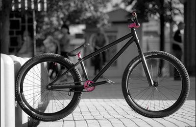 NS Bikes Bike Check