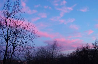 petits nuages roses