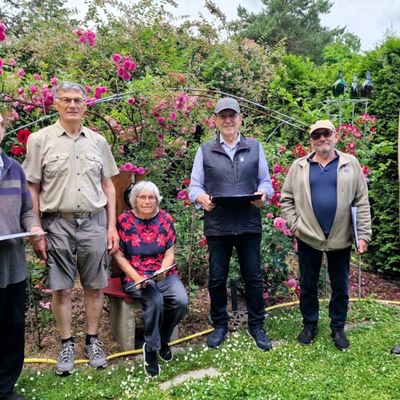 Wenn Rosenherzen höherschlagen – Jury des Verschönerungsvereins bewertete erneut Rosenpracht in Vorgärten