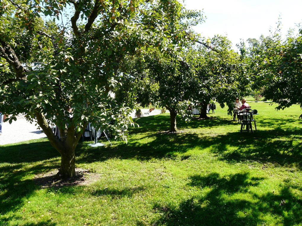 Album - Le-potager-en-septembre