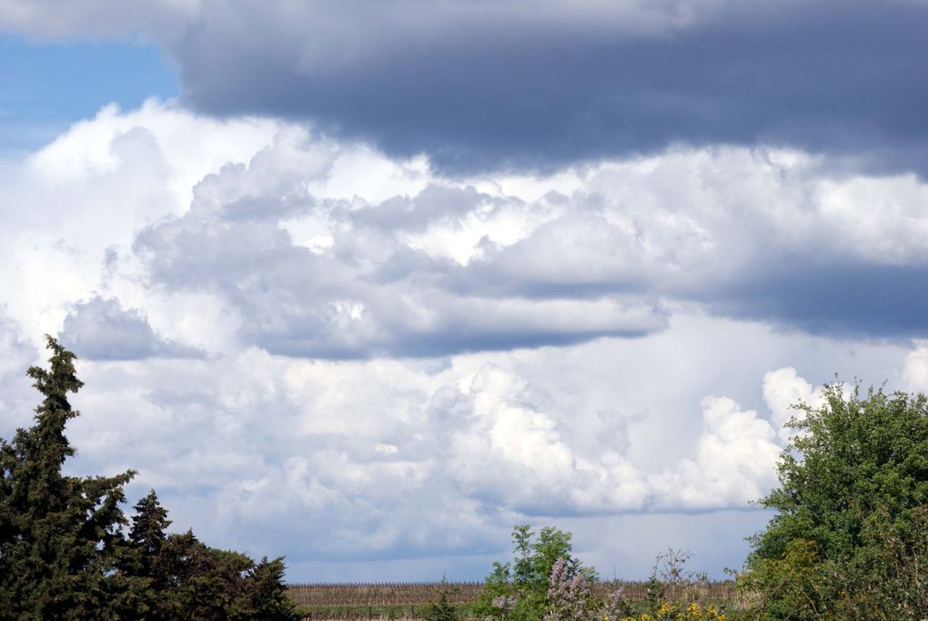 Tous vus de chez moi !! Ciels, soleils, lunes, nuages...