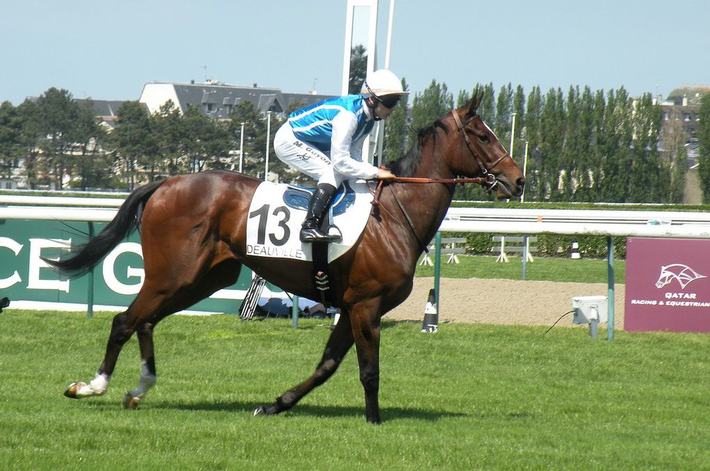 Poule d'Essai des Pouliches