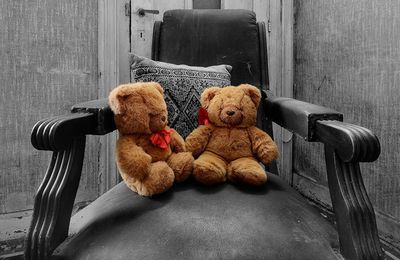 Oursons - Fauteuil - Photographie - Wallpaper - Free